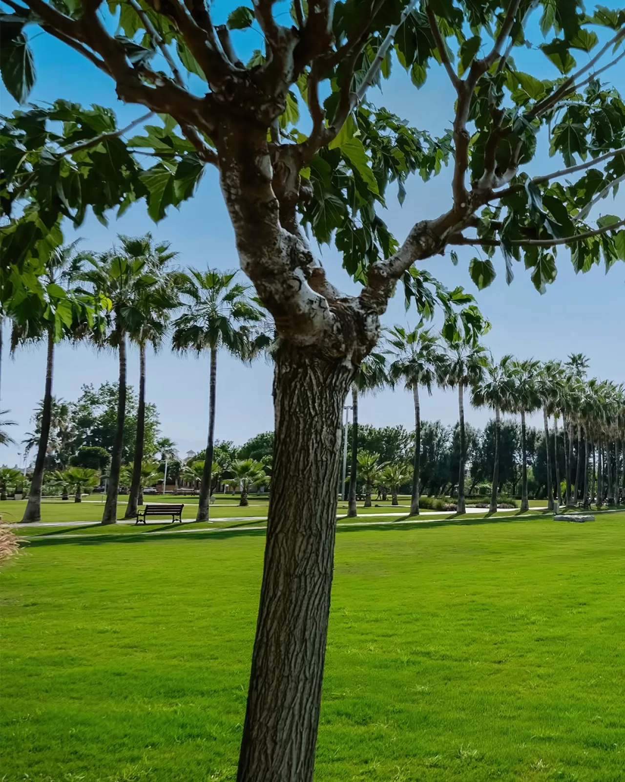 Barut Lara Resort, Misafirlerine