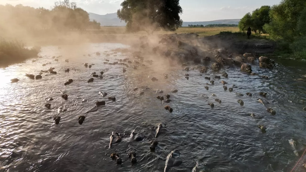 Kayseri Pastırması'nın Bin Yıllık Yolculuğu: At Eyerinden AB Tescill Lezzete