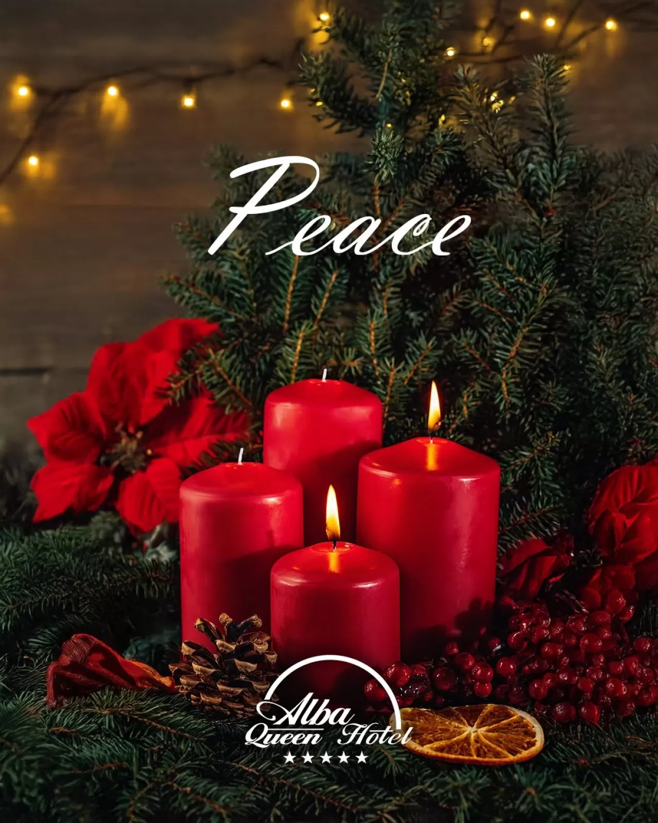 ALBA QUEEN Müzik Grubu, Dünya Barışı Temalı Yeni Çalışmasını Duyurdu