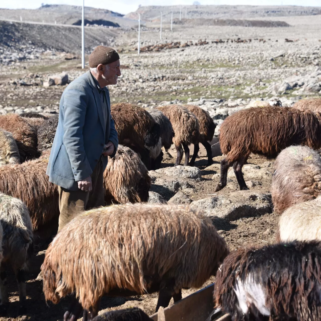 Holivuk.com, Standart Tatil Anlayışını Değiştirmeye Hazırlanıyor