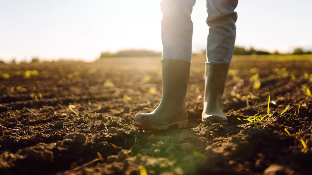Köyde Nöro-Tarım: Bilinçli Toprakla Bağ Kurma Felsefesi Yayılıyor