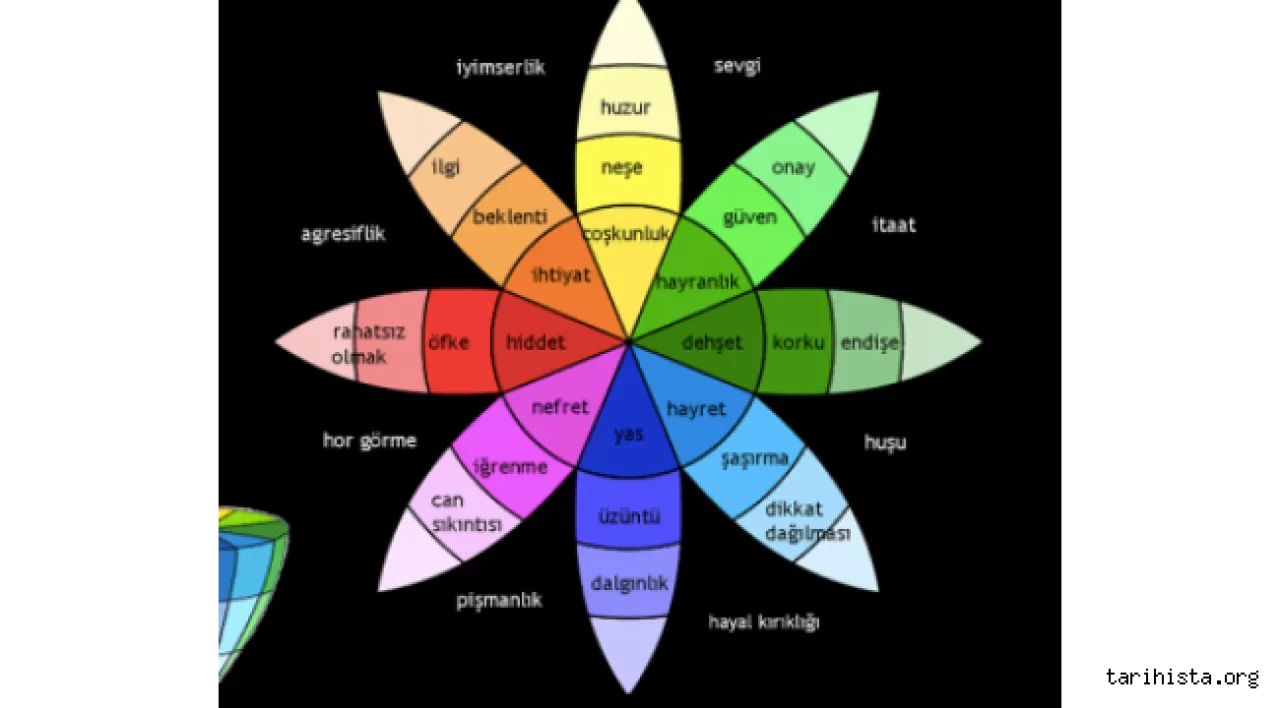Köyde Psiko-Coğrafya ile Zihin Haritasında Kaybolmak
