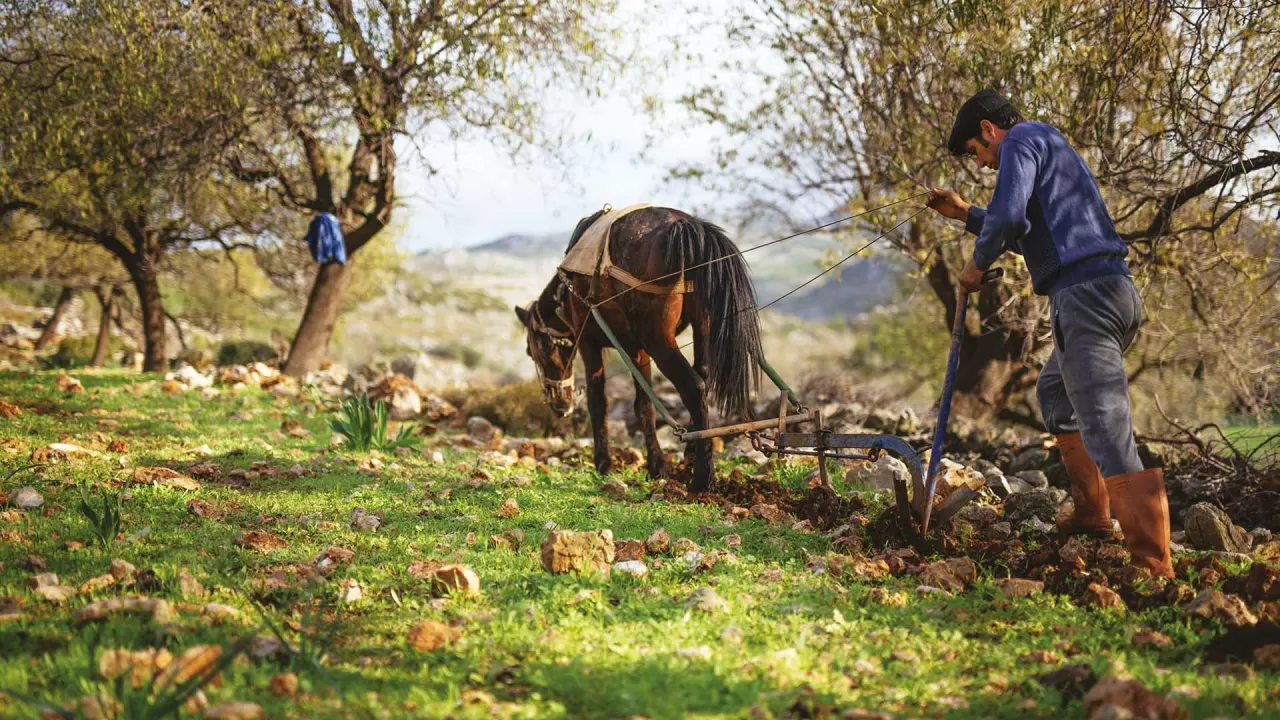 Köyde Arkeo-Zanaat: Kadim Üretim Teknikleriyle Kırsal Kalkınma