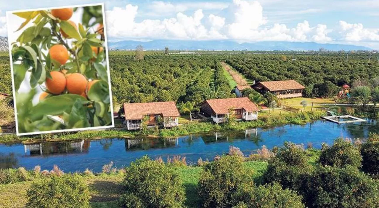 Finike, Aileler İçin Portakal Kokulu Bir Tatil Cenneti Sunuyor