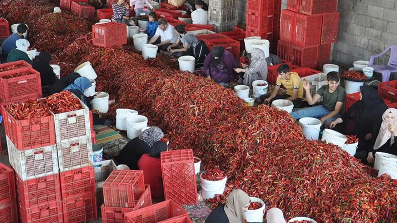 Gaziantep'in Bakırcılar Çarşısı'nda Asırlardır Yankılanan Çekiç Sesleri ve Lezzet Mirası