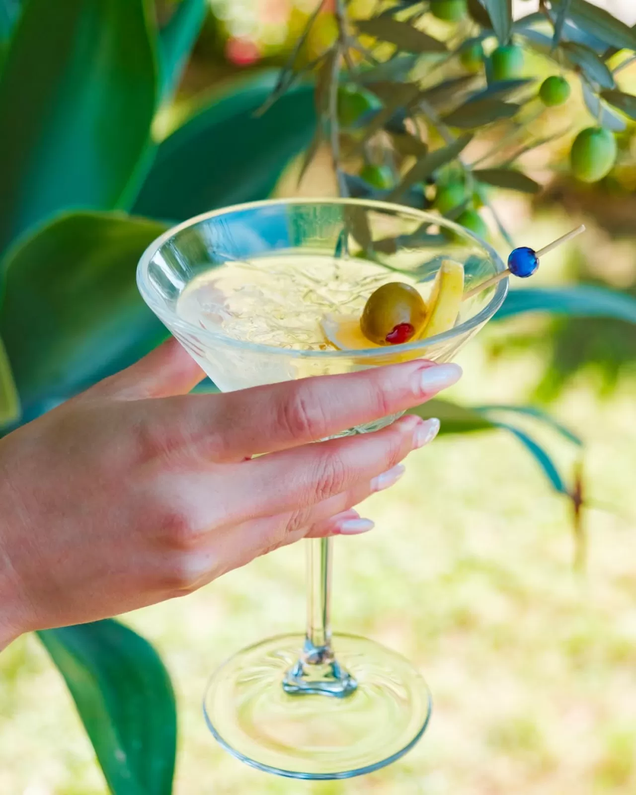 Adalya Elite Lara Otel, Lüks ve Doğayı Bir Araya Getiriyor