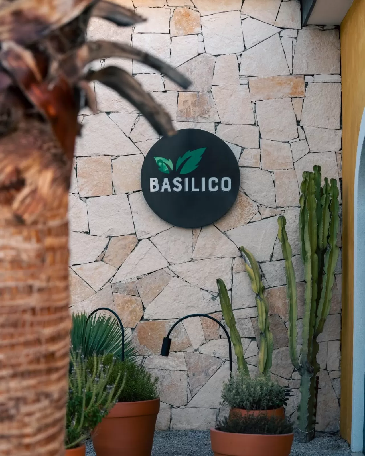 Fethiye'deki SENSATORİ, Bahçeden Tabağa Lezzet Yolculuğunu Sunuyor