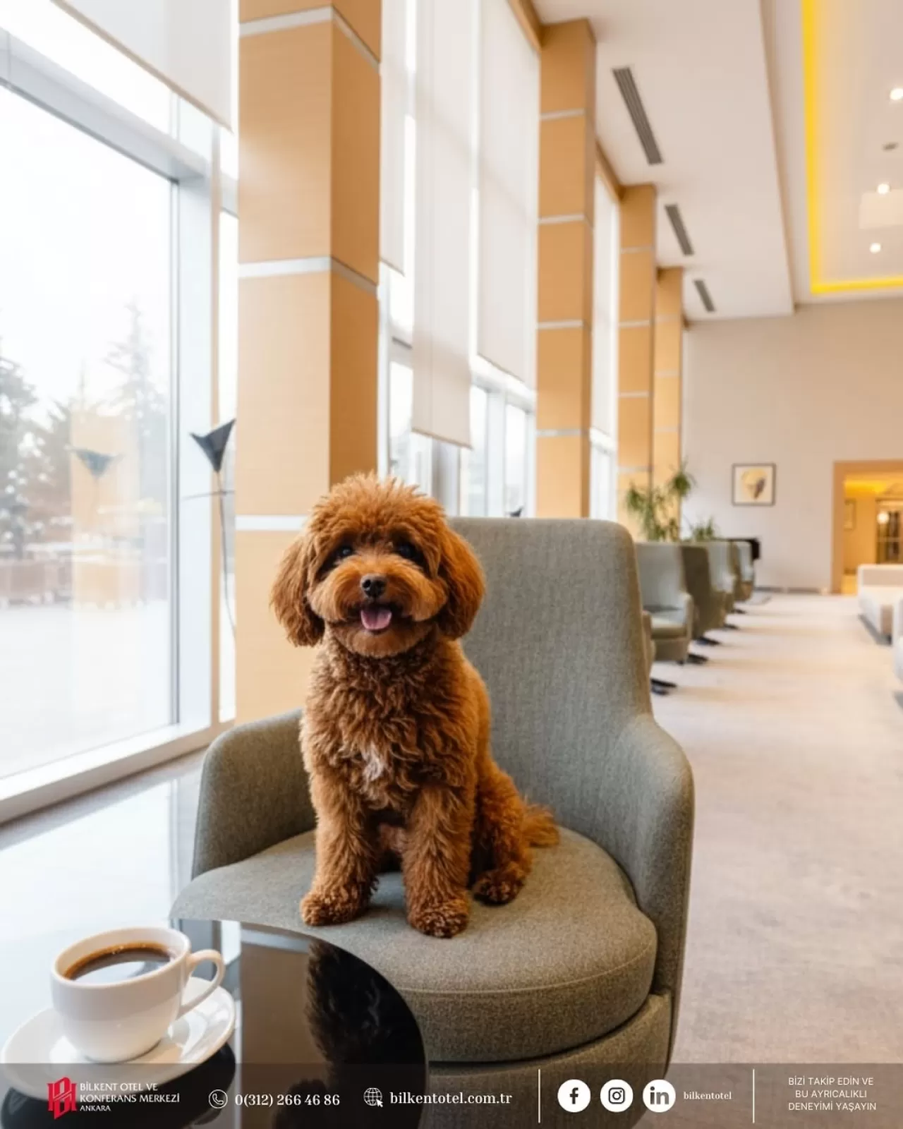 Bilkent Otel, Evcil Hayvan Dostu Konaklama Anlayışıyla Dikkat Çekiyor