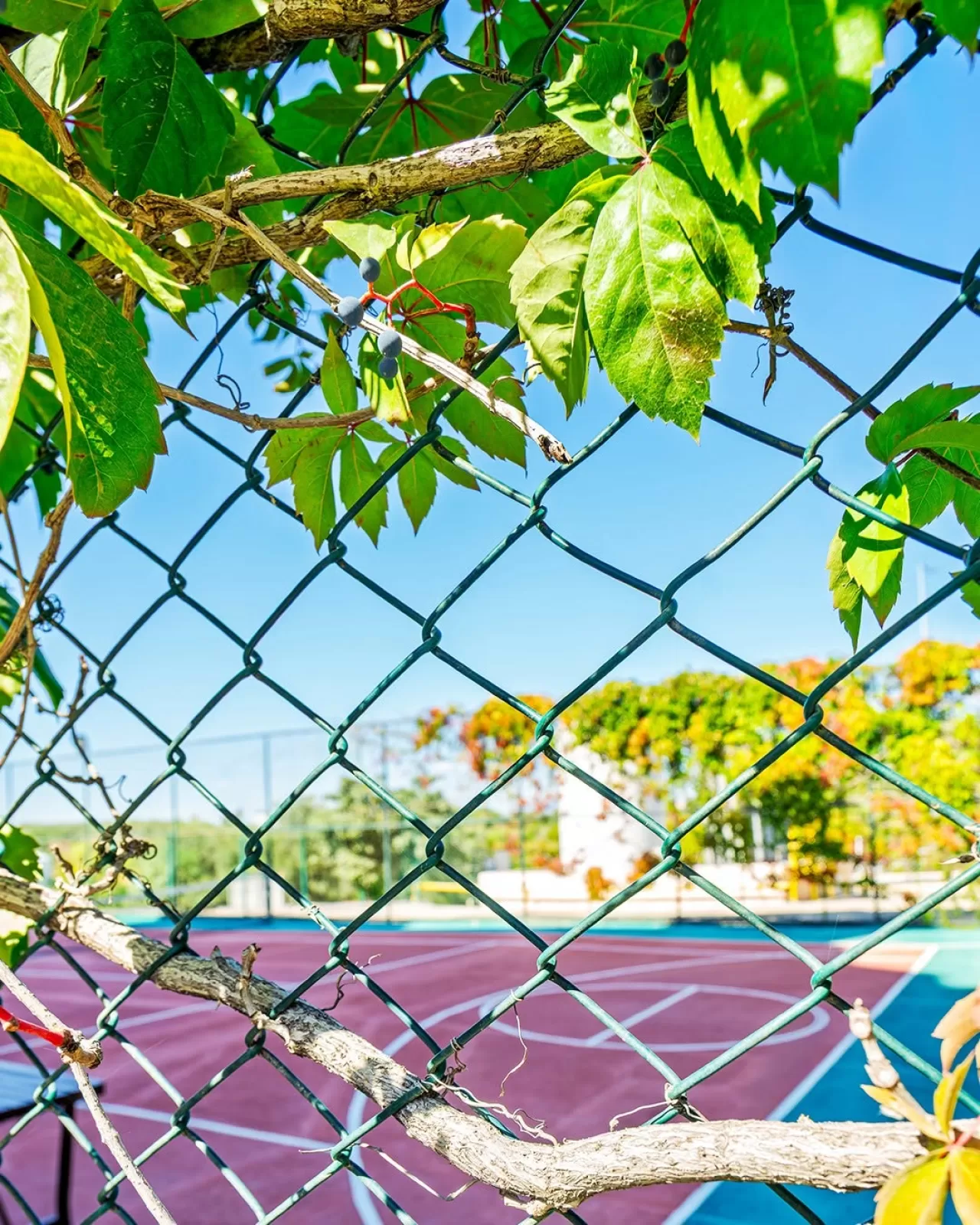 Çenger Beach Resort Otel, Misafirlerine Aktif Tatif Olanakları Sunuyor