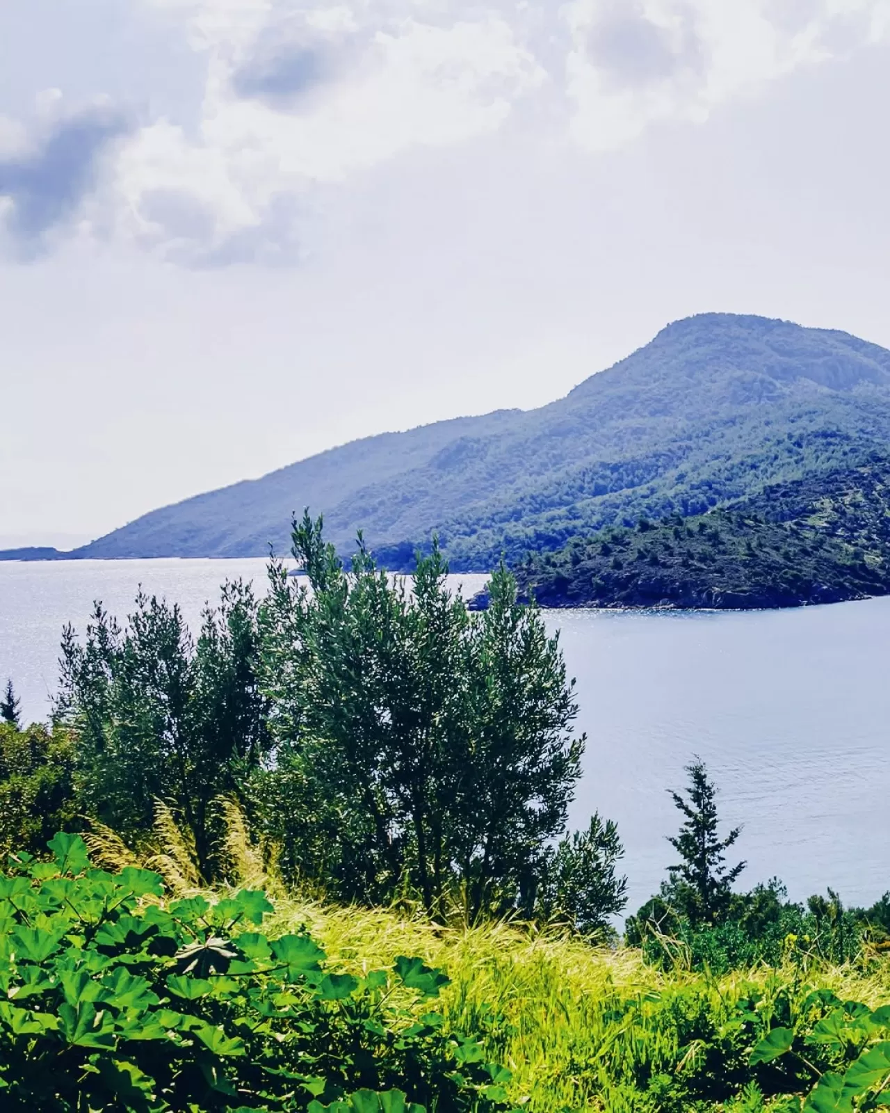 Muğla'nın Saklı Cenneti: Kargı Koyu'nun Doğal Güzellikleri Keşfedilmeyi Bekliyor