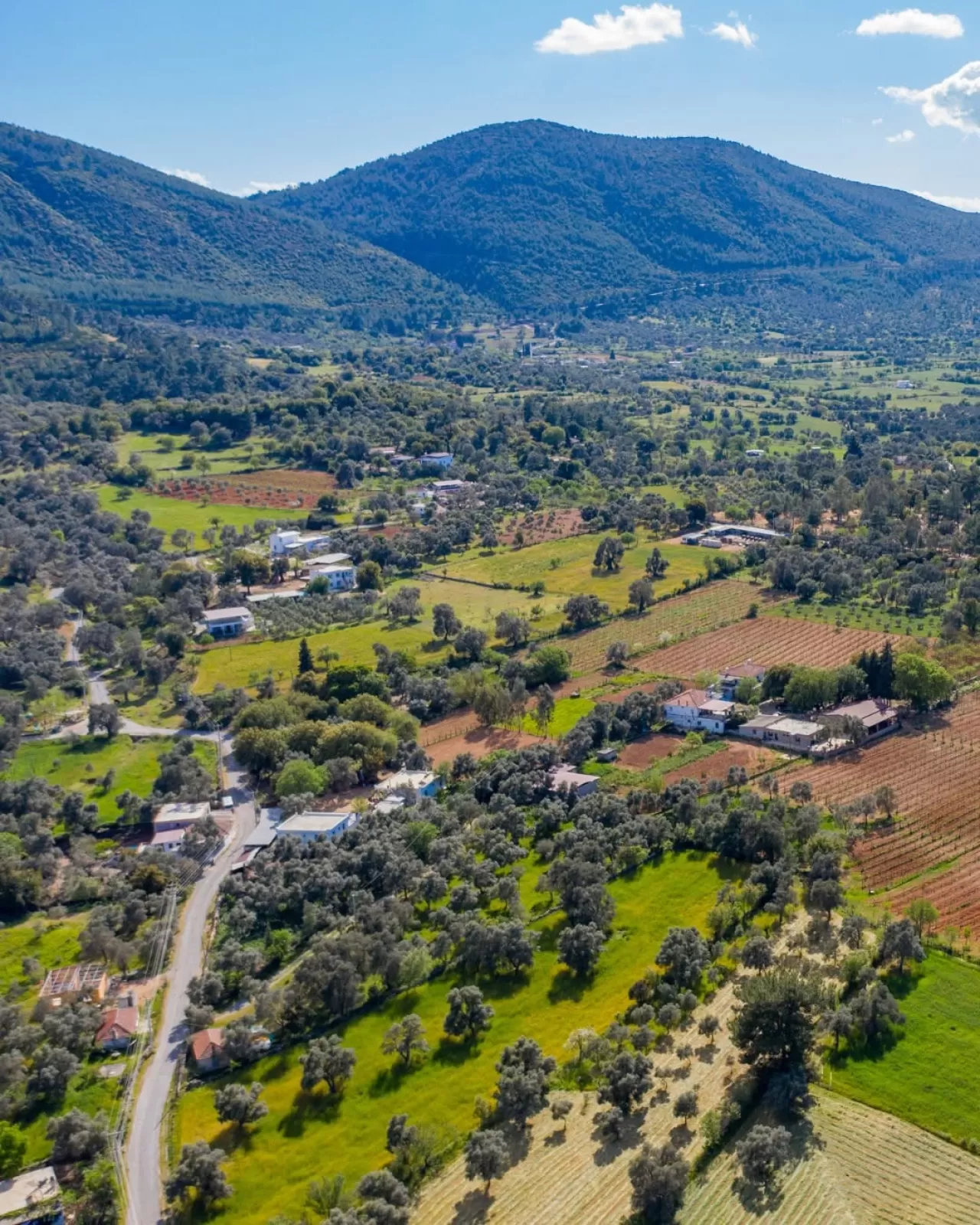 Bodrum'da Bağ Turizmi: Garova Vineyards Ziyaretçilerini Ağırlıyor