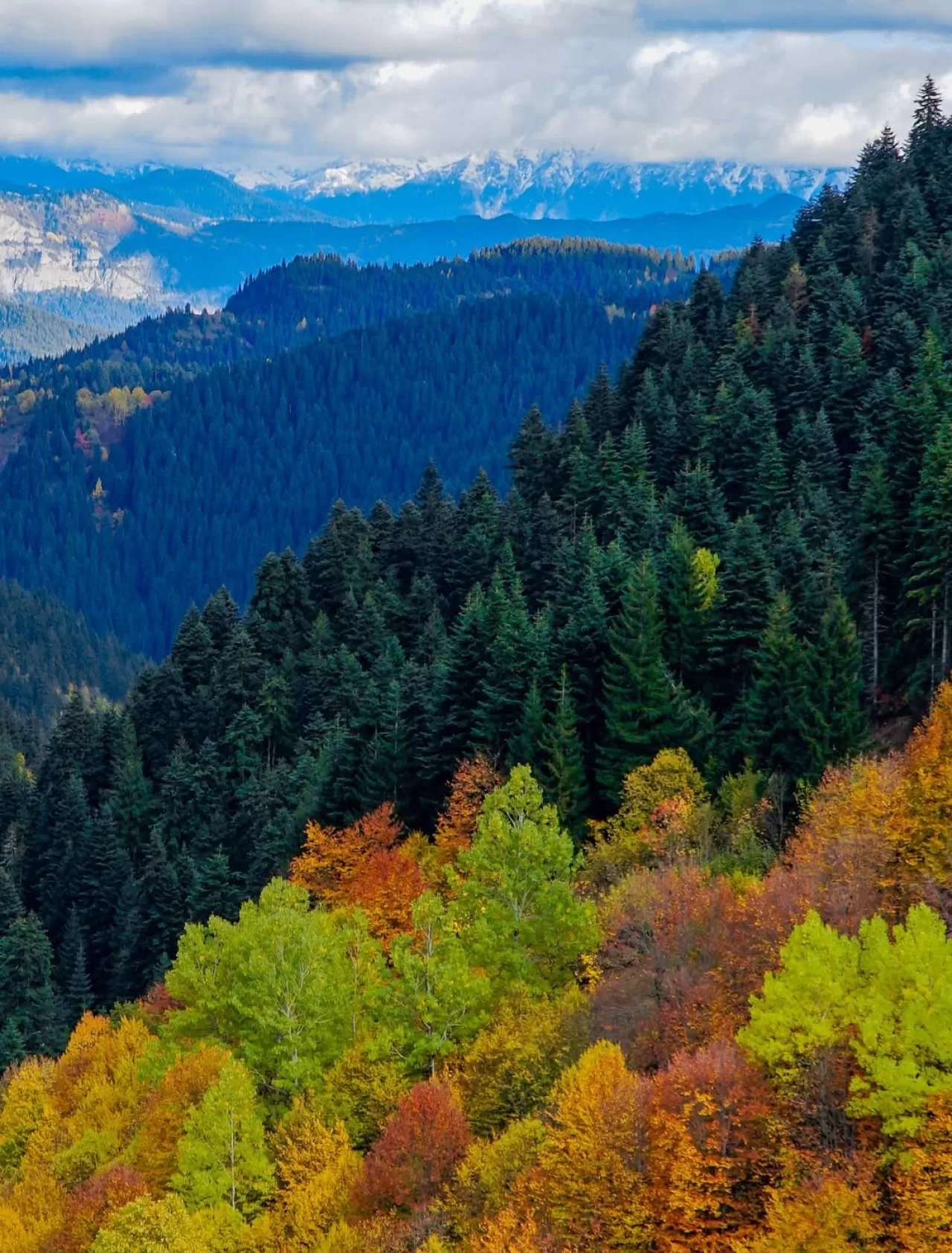 Artvin'in Şavşat İlçesinde Bulunan Black Forest Hotel, Doğa Turizmine Hizmet Veriyor