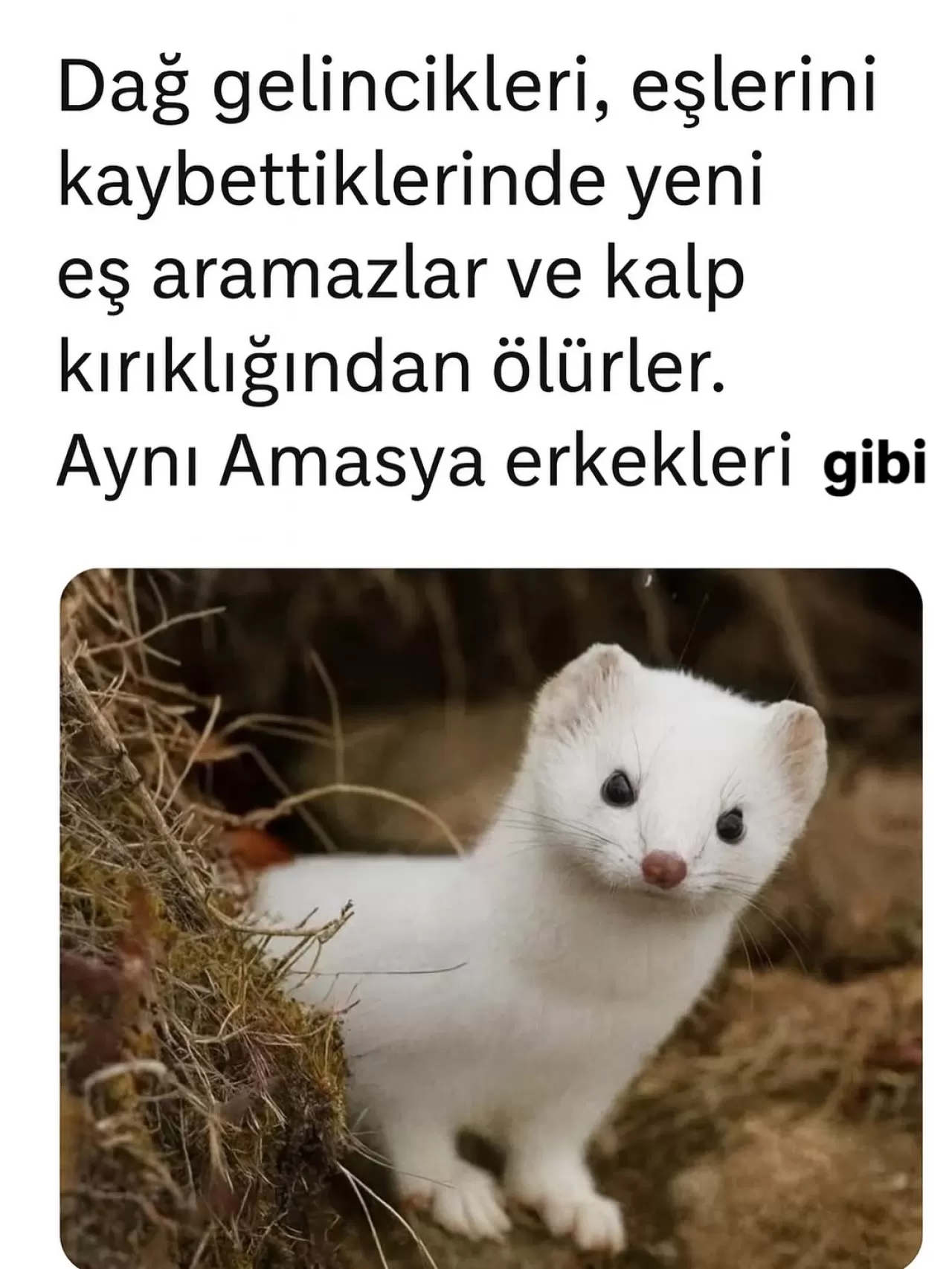 Amasya'da Demir Yolları Tarihi ve Kültürel Miras Olarak Değerlendiriliyor