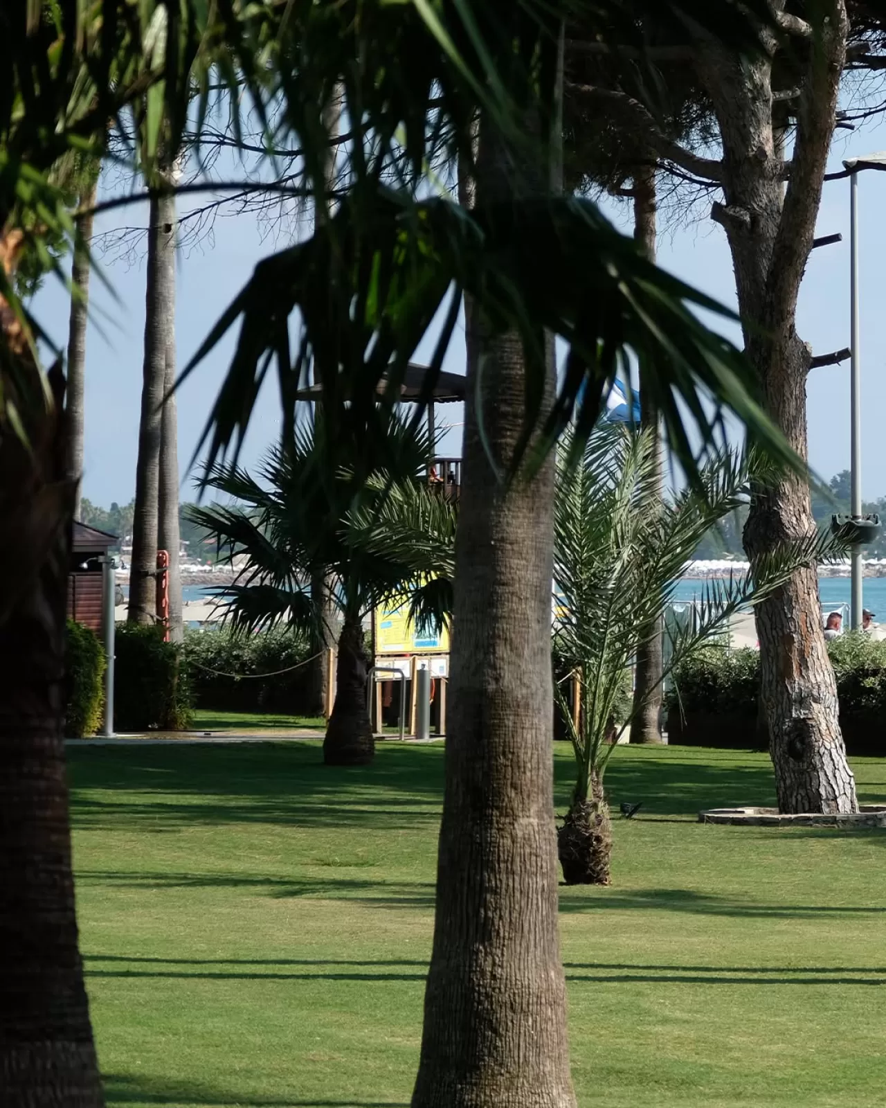 Barut Acanthus & Cennet Otel, Doğanın Sessizliği ile Misafirlerini Buluşturuyor