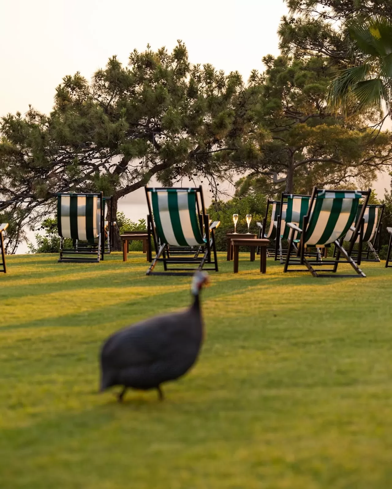 CLUB RESORT SELECT MARİS, 22 Nisan'da Kapılarını Açıyor