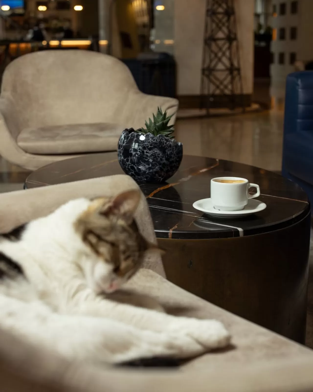 WOW İstanbul Otel'de Konaklayan Yabancı Turistlerin Memnuniyeti