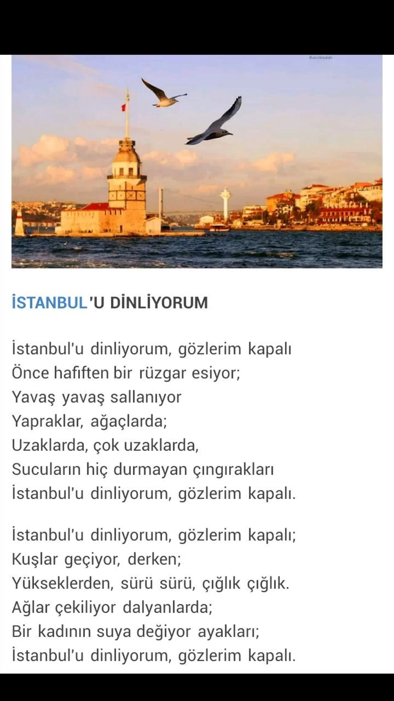 Boğaz'ın İlham Veren Durakları: Şairlerin Mısralarıyla İstanbul'un Kalbine Yolculuk