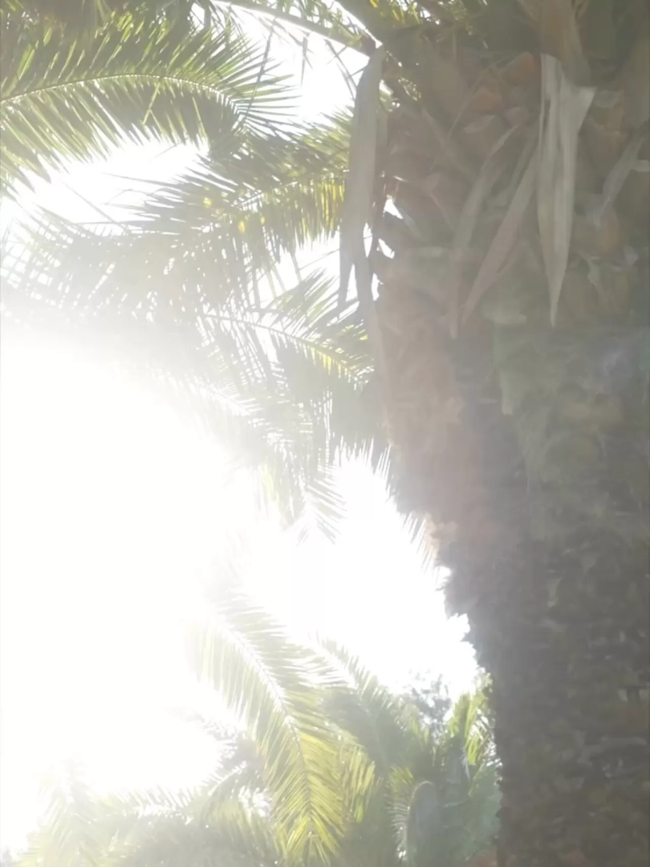 DoubleTree By Hilton Bodrum Işıl Club Resort, 2026 Tatil Rezervasyonlarını Başlattı