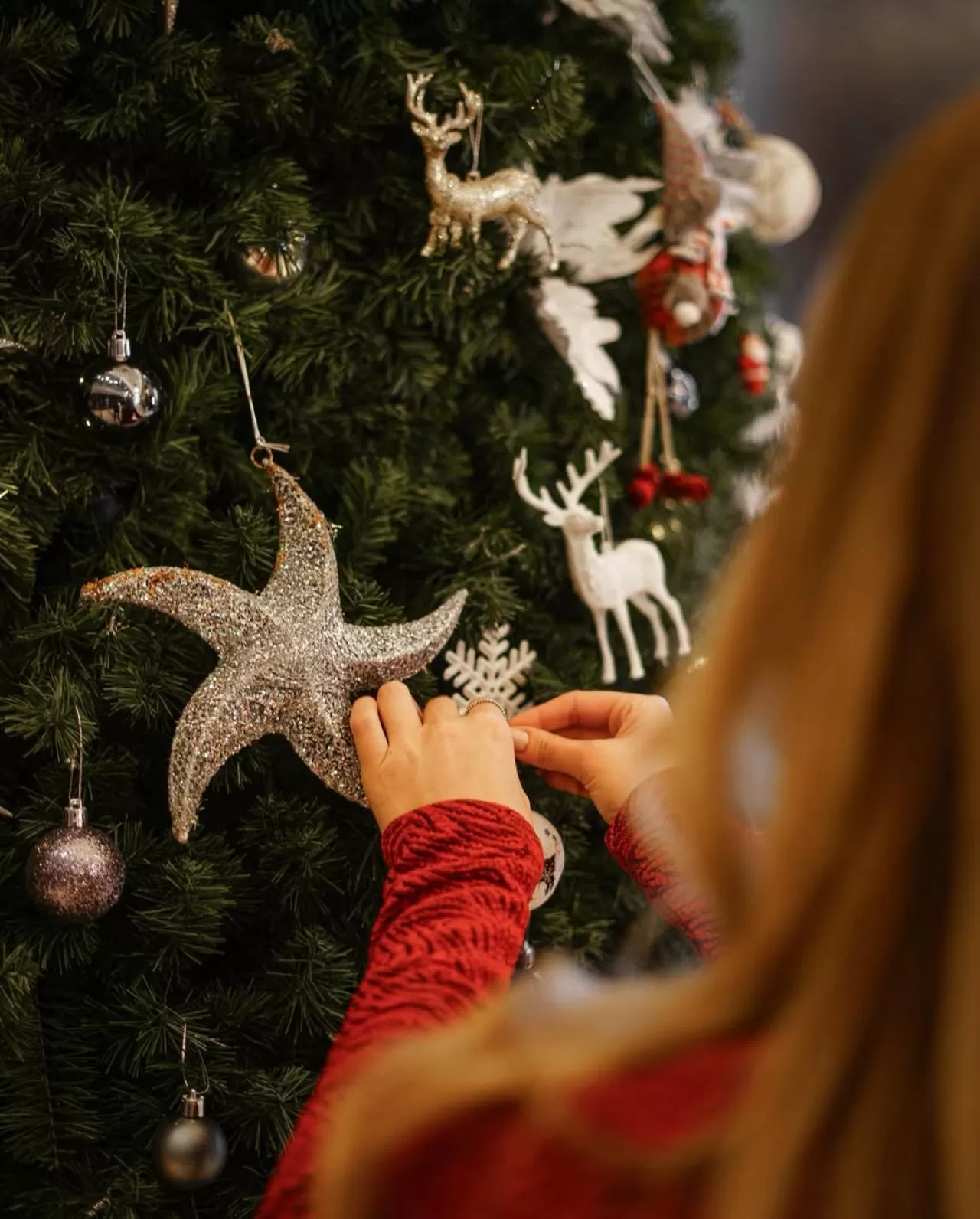 Sheraton İstanbul Levent'te Noel Coşkusu Başladı