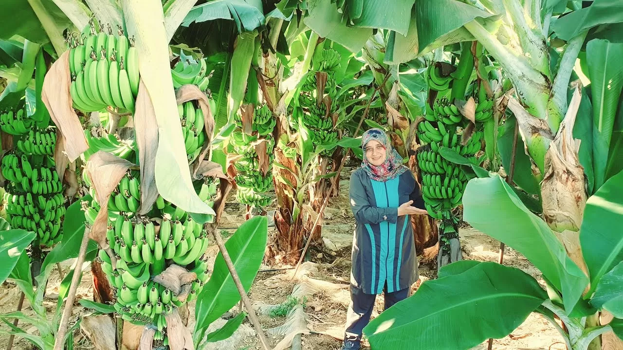 Anamur, Ailece Tatilin Adresi: Tarih, Doğa ve Huzur Bir Arada