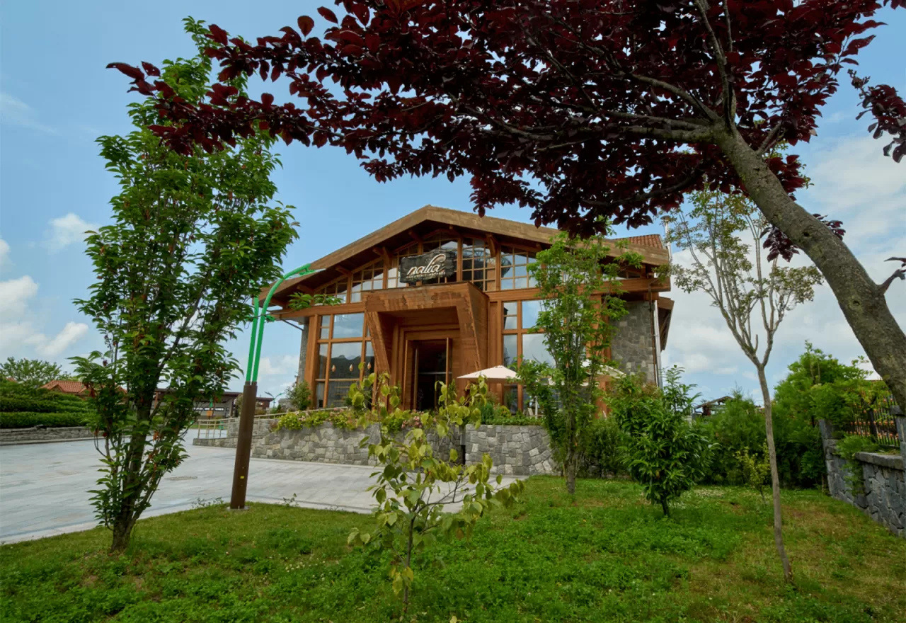 Karadeniz'in Bereketli İkilisi: Trabzon'da Fasulye ve Mısırın Asırlık Tarım Dansı