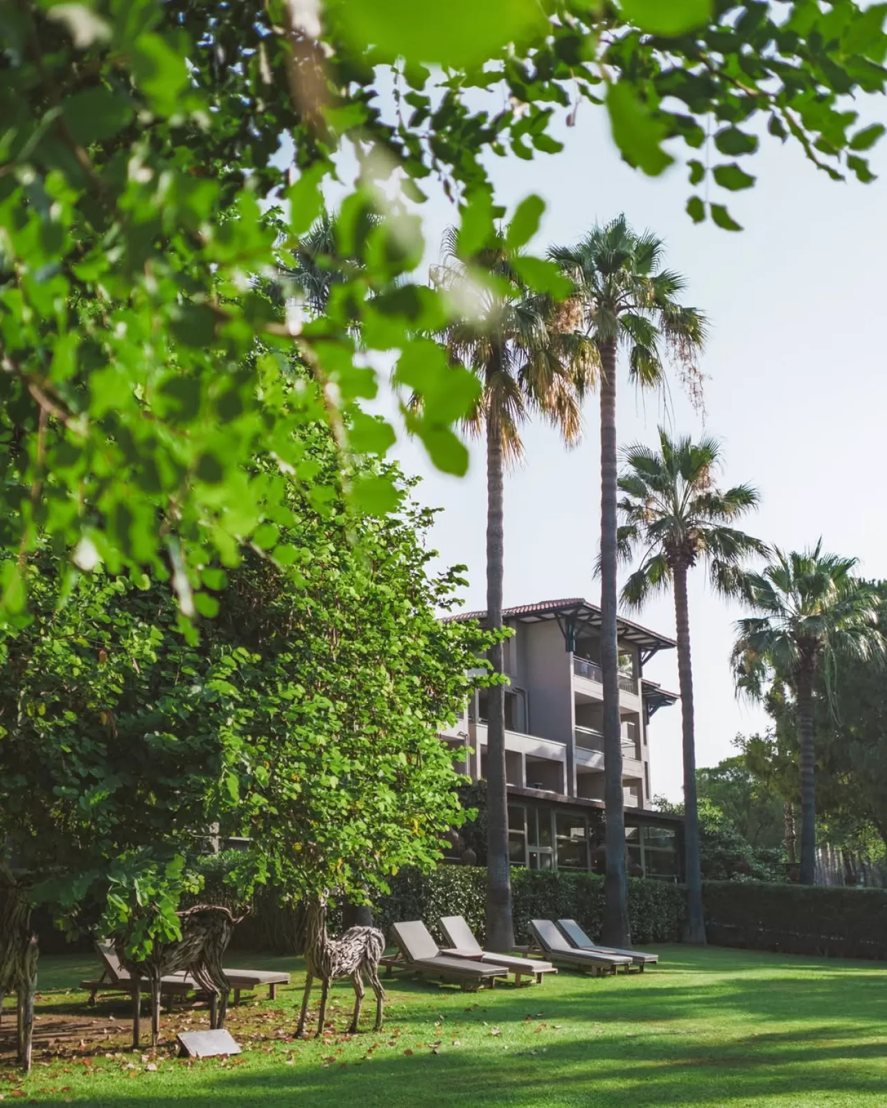 Barut Hemera Otel, Doğayla İç İçe Bir Tatil Sunuyor