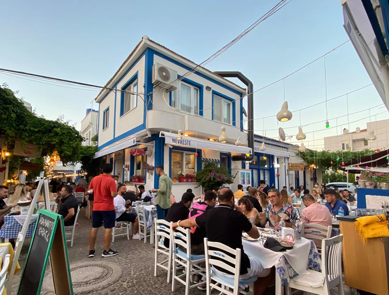 Bozcaada'da Ailece Üzüm Toplama Keyfi: Tarım Turizmi Yeni Bir Tatil Deneyimi Sunuyor