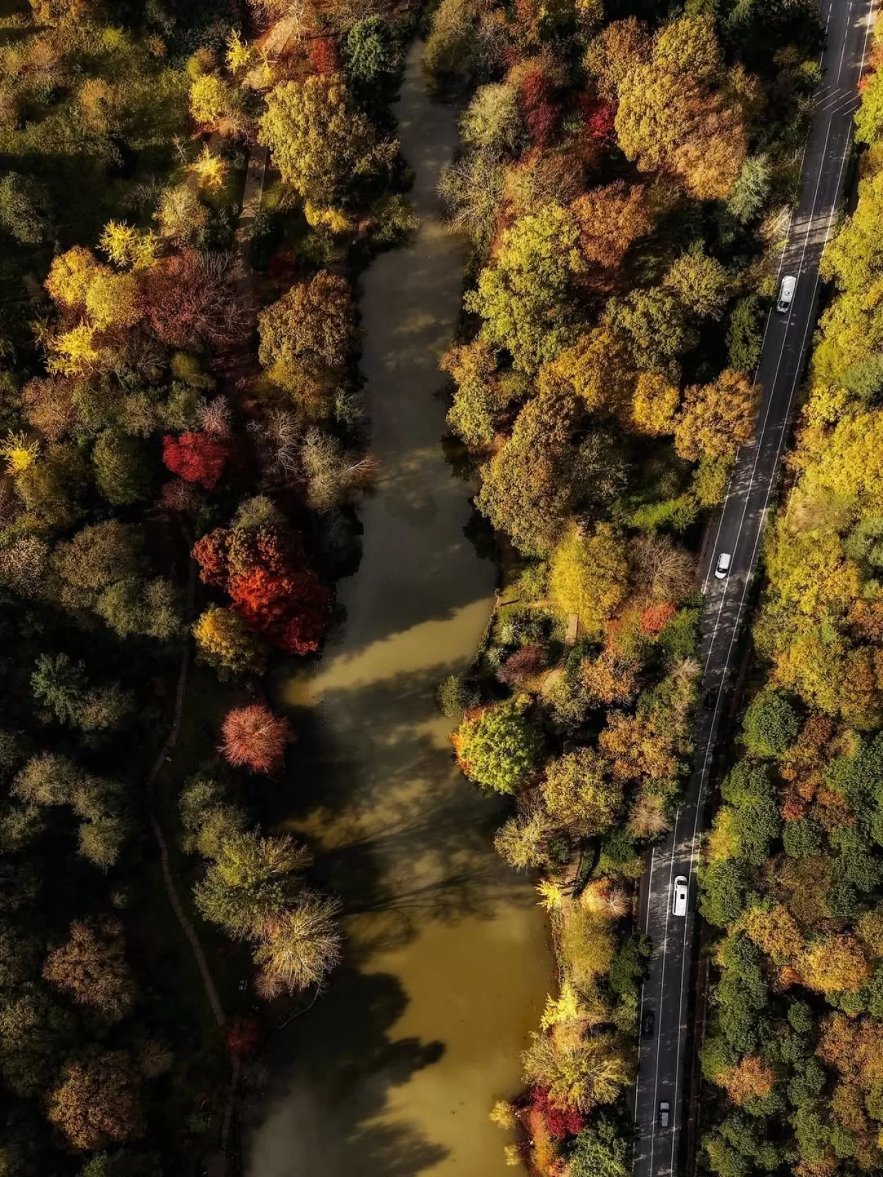 Atatürk Arboretumu, Betonlaşmış Şehrin Ortasında Bir Doğa Sığınağı