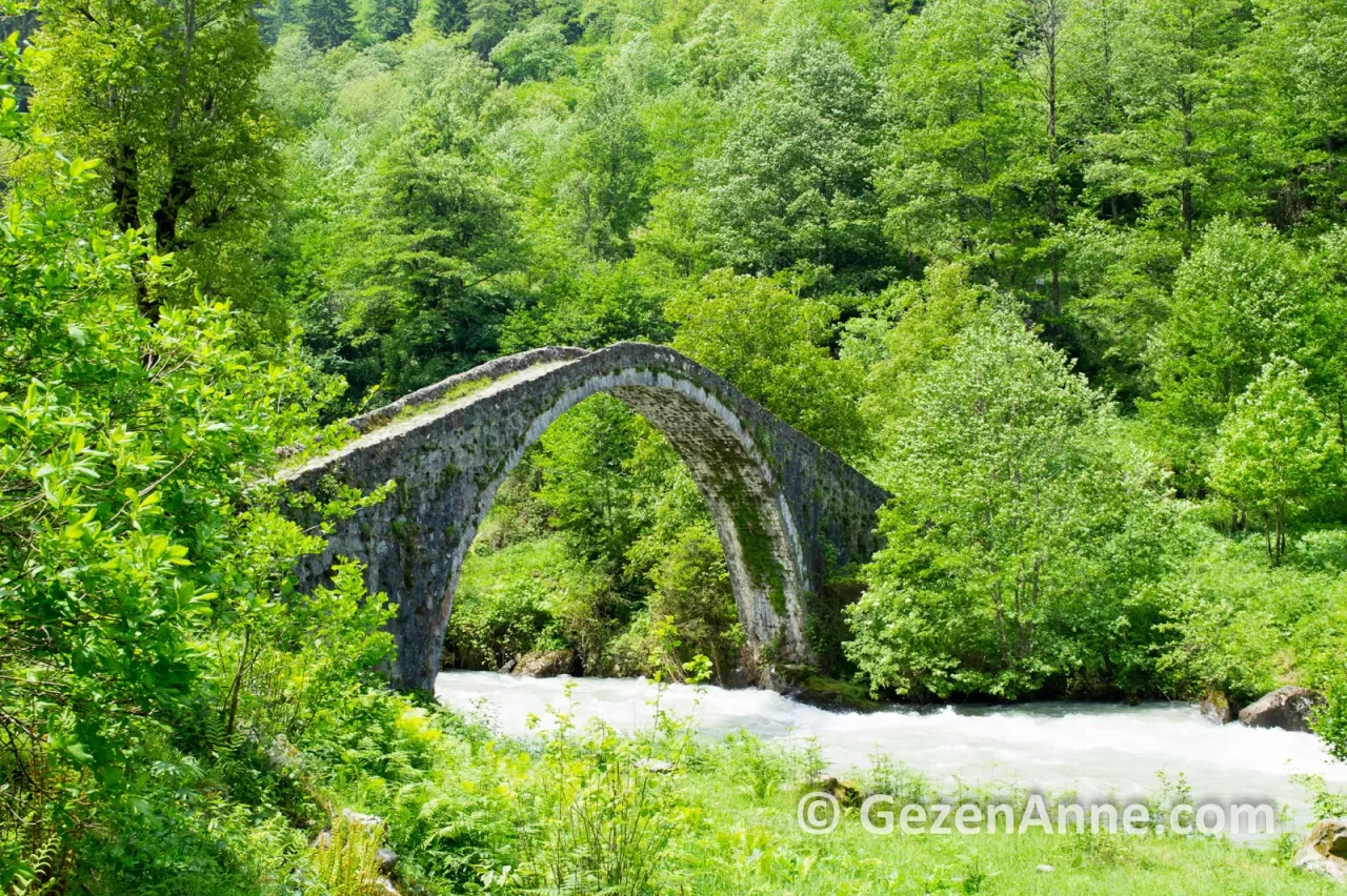 Çamlıhemşin'de Unutulmaz Bir Aile Tatili: Macera ve Doğa İç İçe