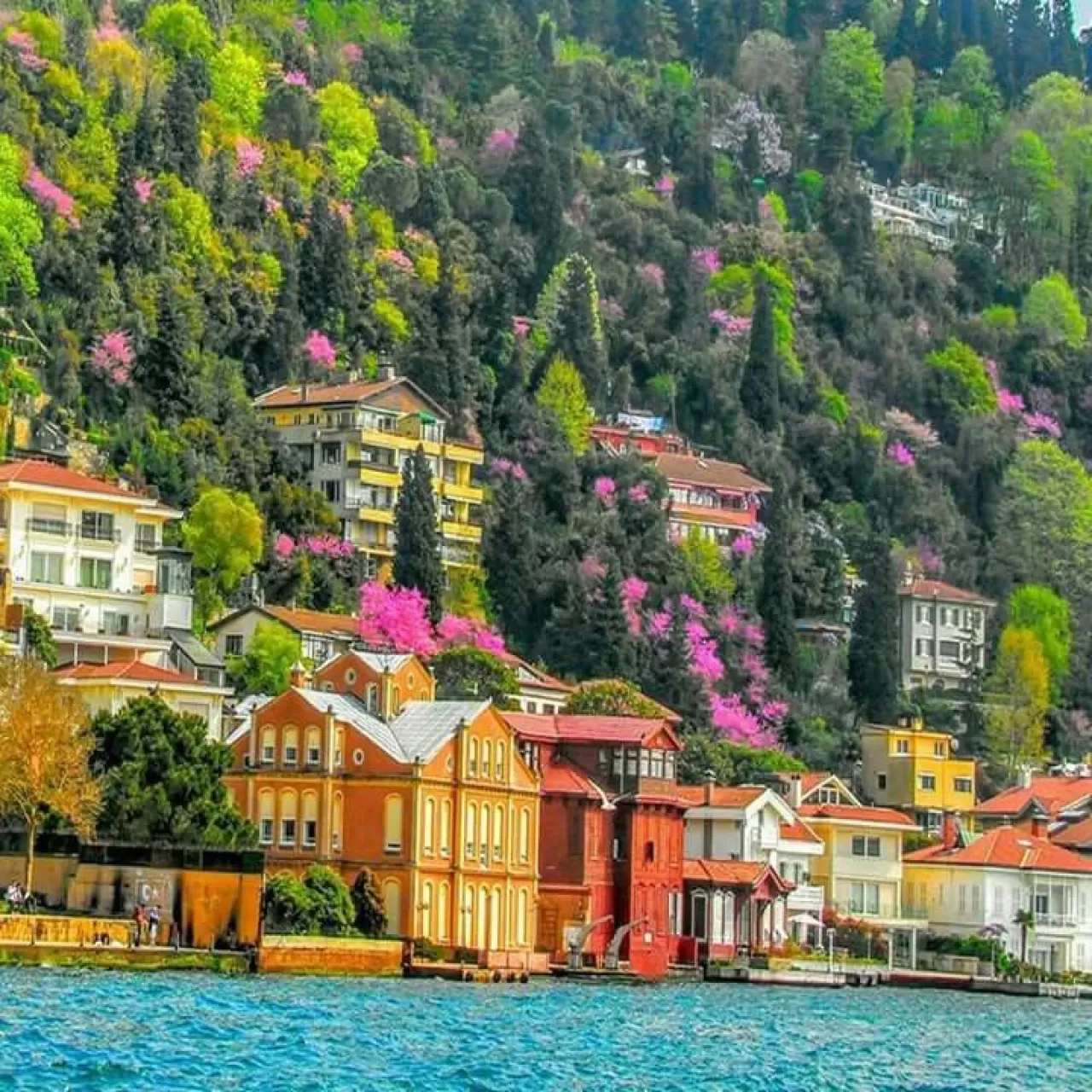 Kandilli Sırtlarında Unutulmuş Bir Mesire Geleneği: Vaniköy Çayırı