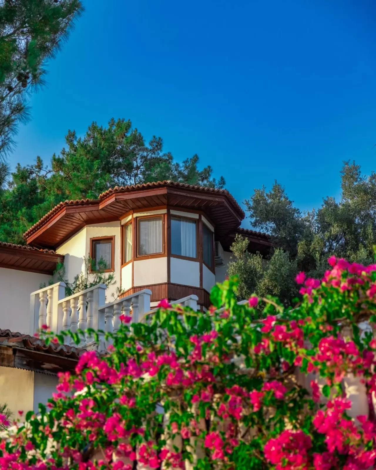 Letoonia'da Huzurlu Bir Kaçış: Doğa ve Konfor Bir Arada