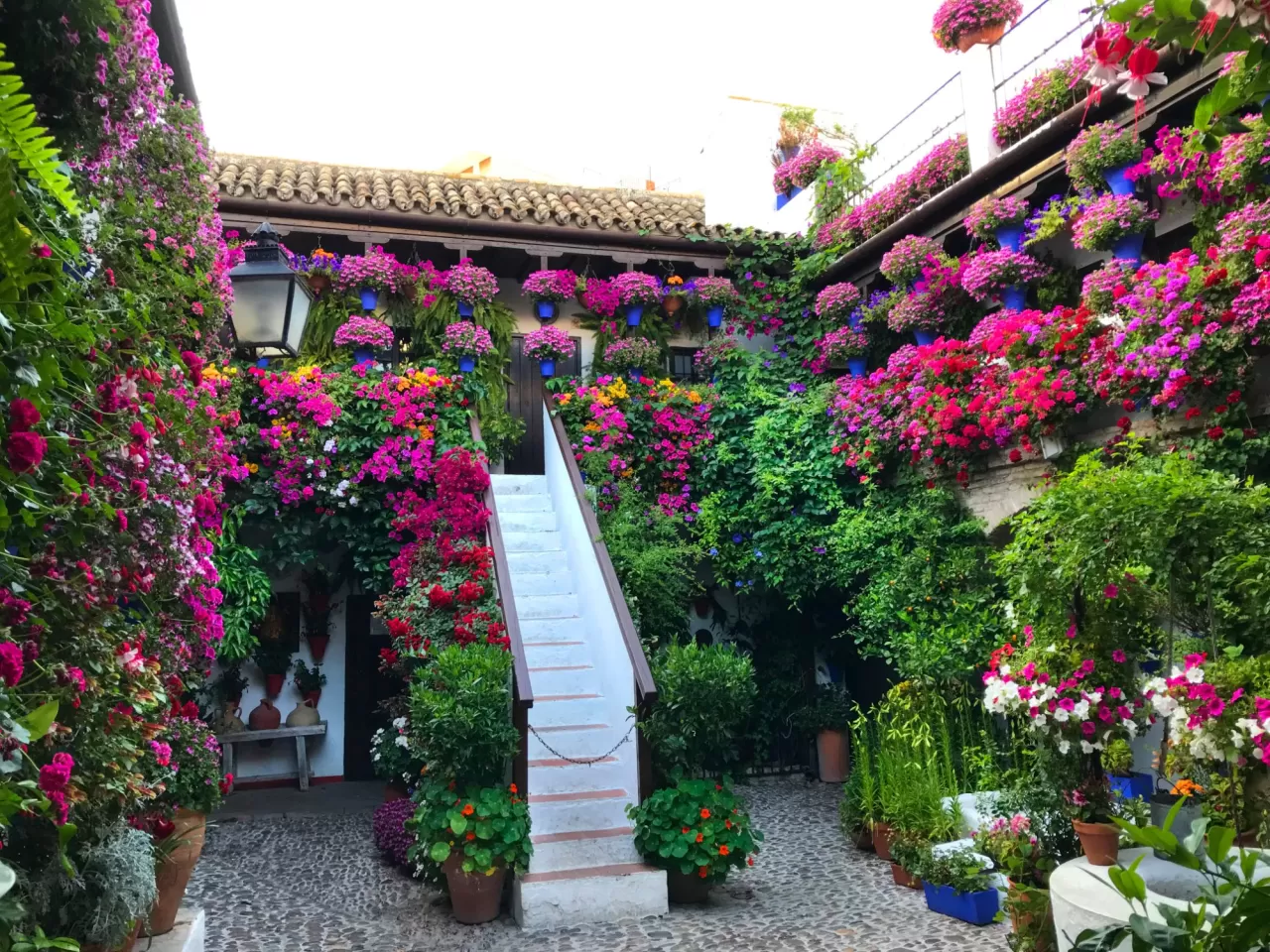 Córdoba'nın Kalbinde Açan Çiçekli Avlular: Fiesta de los Patios
