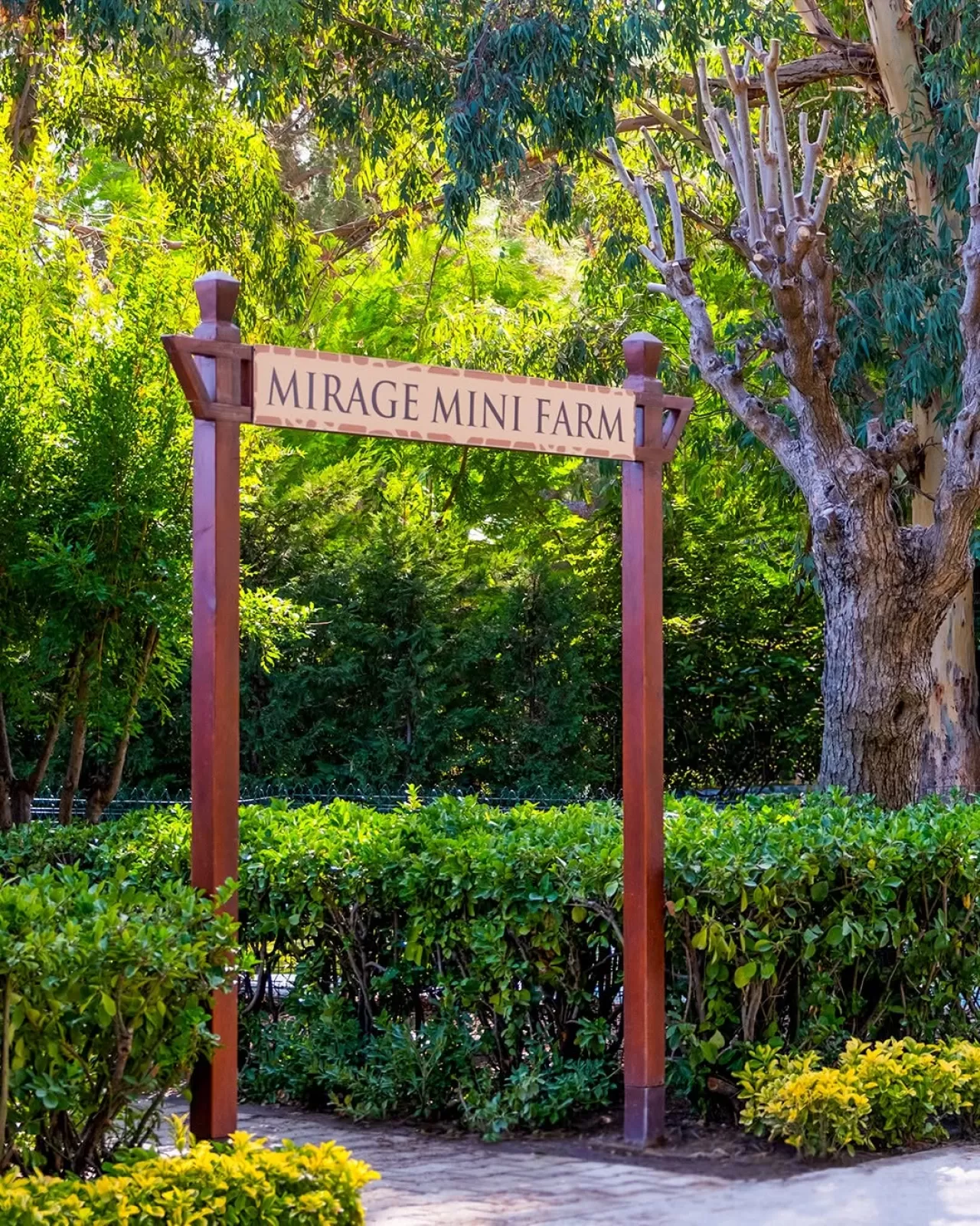 Mirage Park Resort'ta Misafirler Hayvan Dostlarıyla Buluşuyor