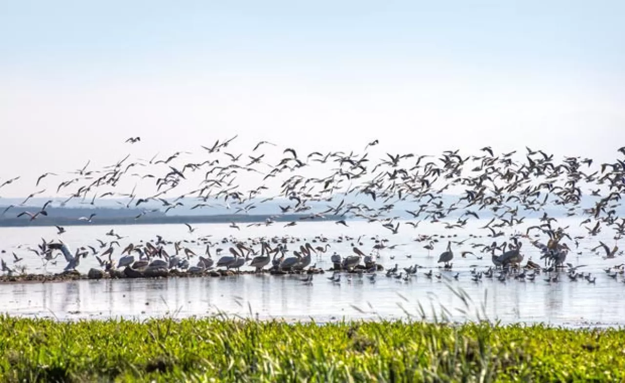 Manyas Kuş Cenneti, Ailece Doğa Keşfine Çağırıyor