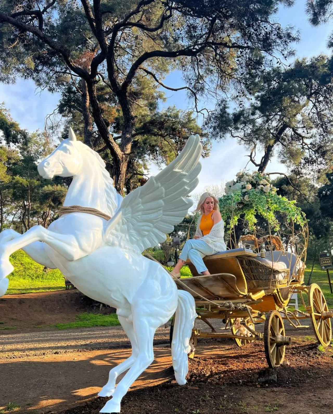 Büyükada'nın Sessizliğe Kavuşan Köşesi: Dilburnu'nda Sabahın Huzuru