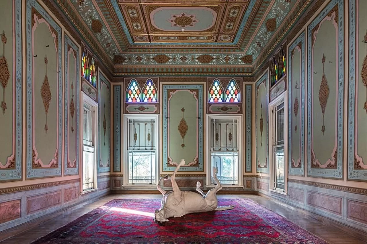 İstanbul'un Kayıp Asma ve Çardak Kültürü: Beş Durakta Tarihi Bir Yolculuk