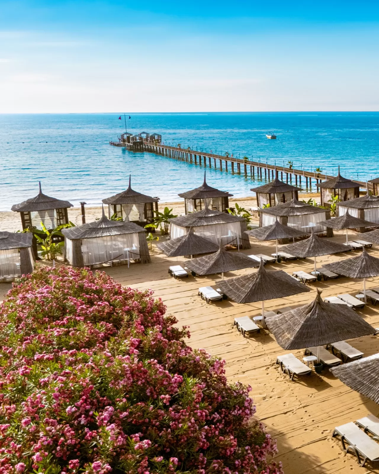 Kaya Artemis Resort: Efsanevi Mimari ve Modern Konfor Buluşması