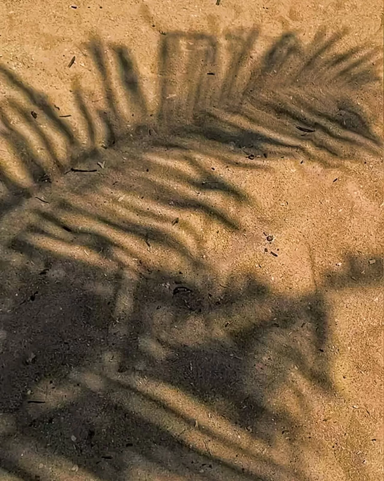 La Blanche Otel'in Yaz Ritmi ve Güneşli Sabahları Özleniyor