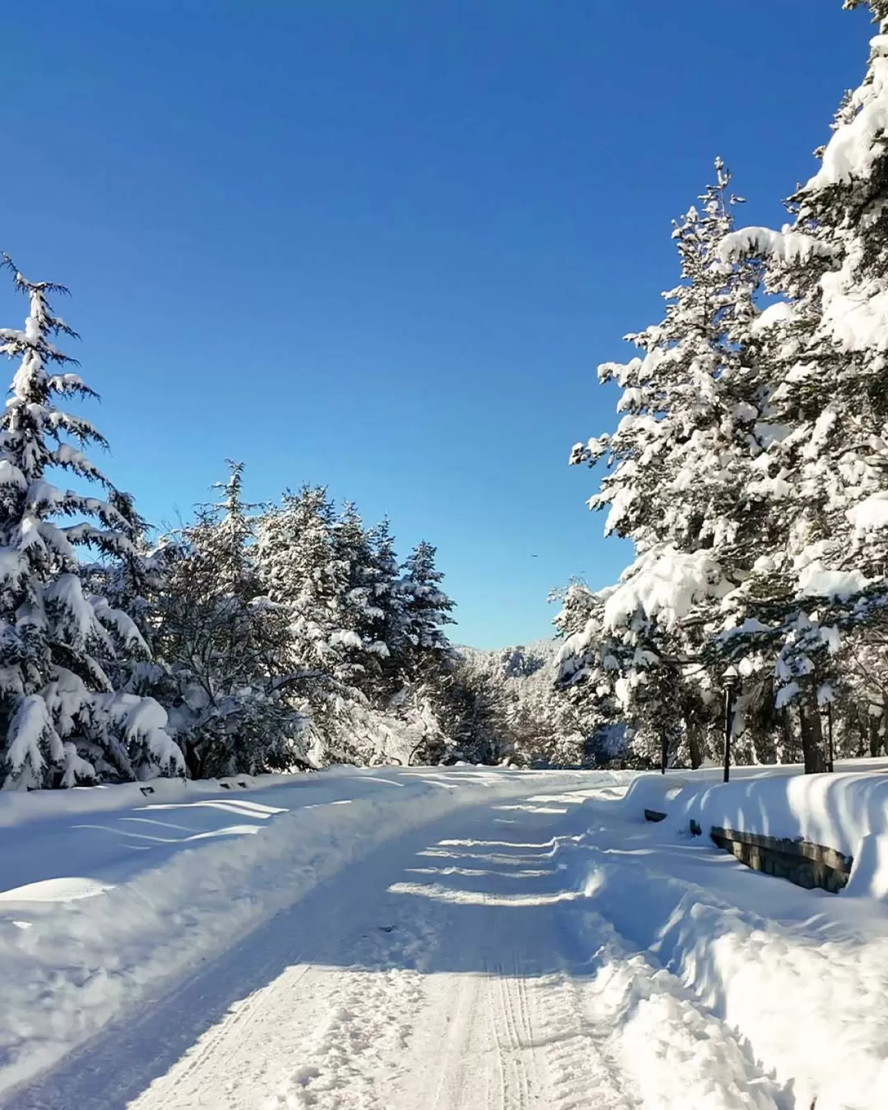 Abant'ın Kış Cenneti: Abant Palace Hotel'de Huzur ve Beyazın Dansı