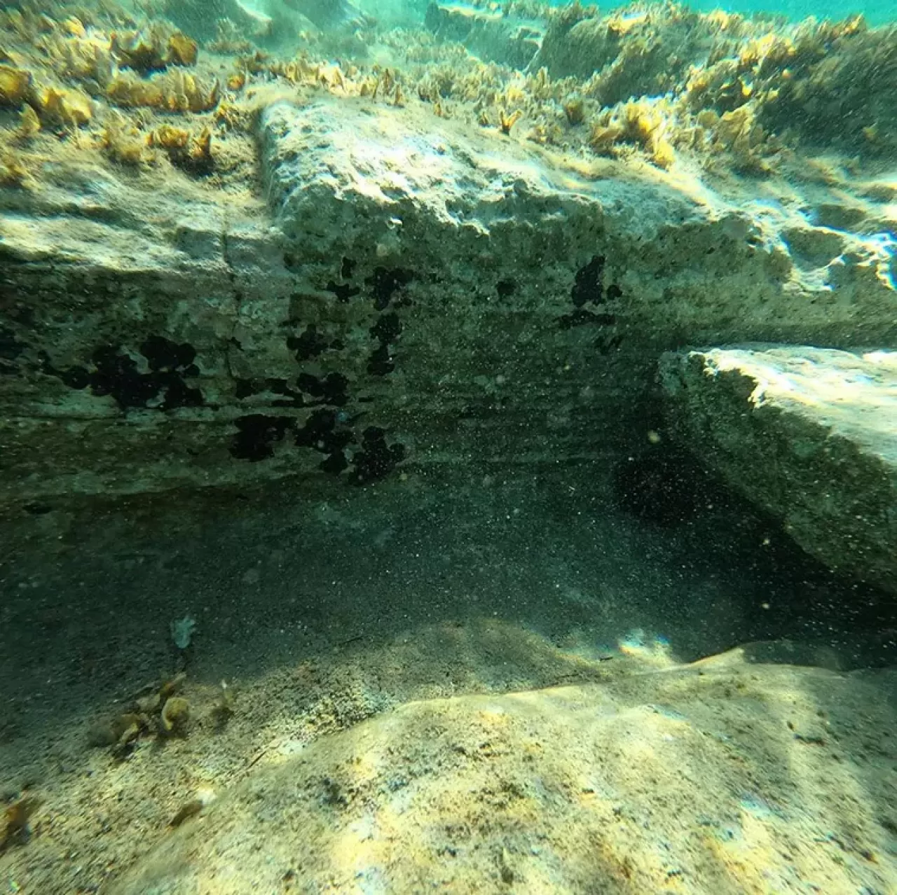 Zamanın Derinliklerine Yolculuk: Su Altında Gizlenen 5 Antik Şehir