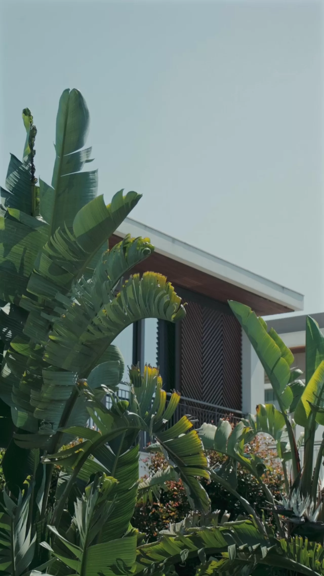 Barut Otel Kemi'de Doğa İçinde Lüks Villa Keyfi: Bayou Villas