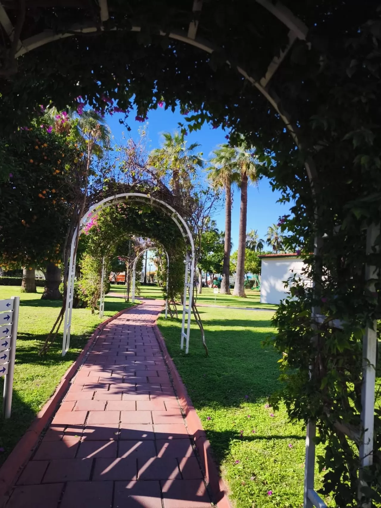 Seher Hotels Kumköy Star Resort ile Tatil Cenneti Manavgat'ta Yükseliyor