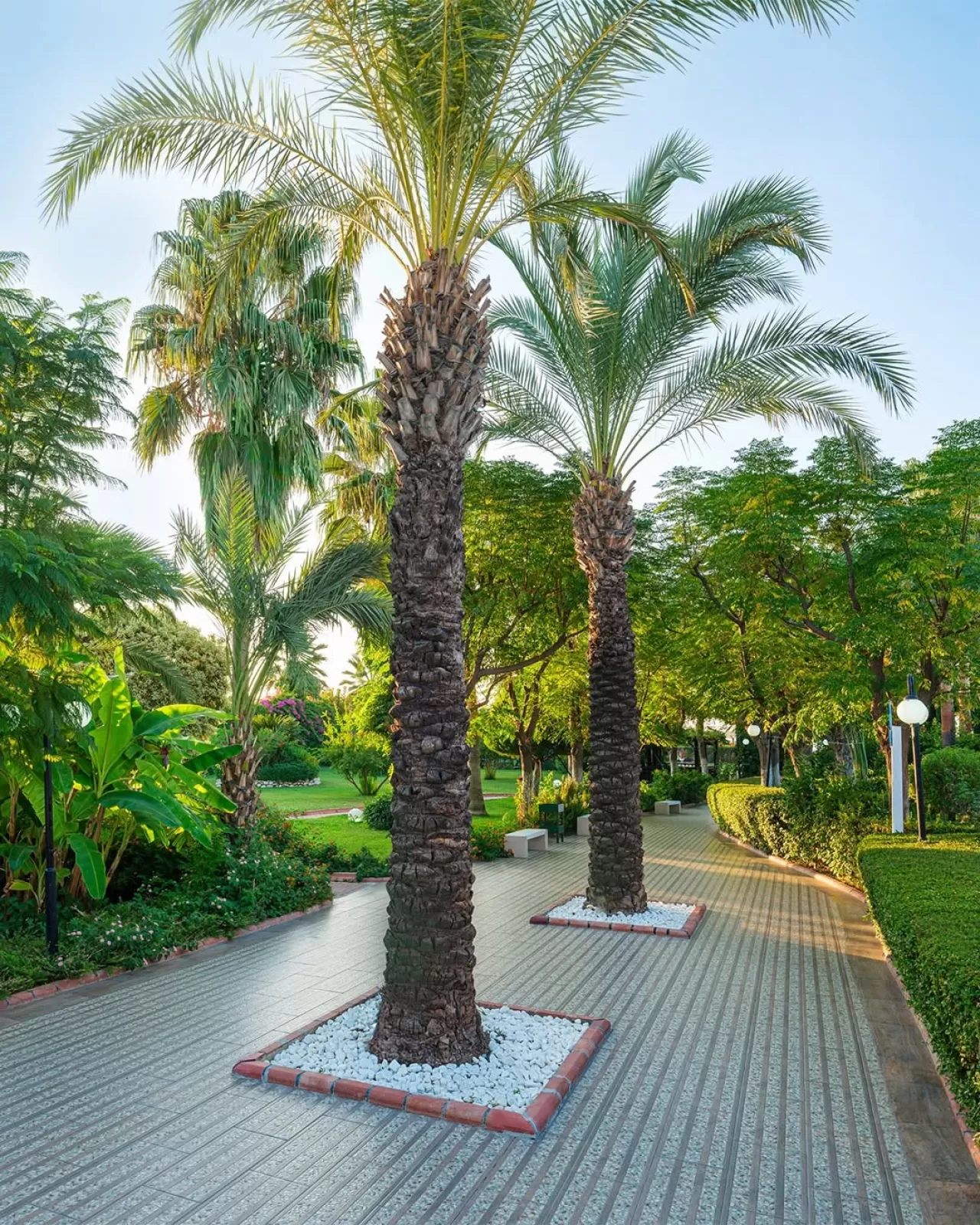 Aydınbey Famous Resort, Doğanın Dinginliğinde Lüks Bir Kaçış Sunuyor