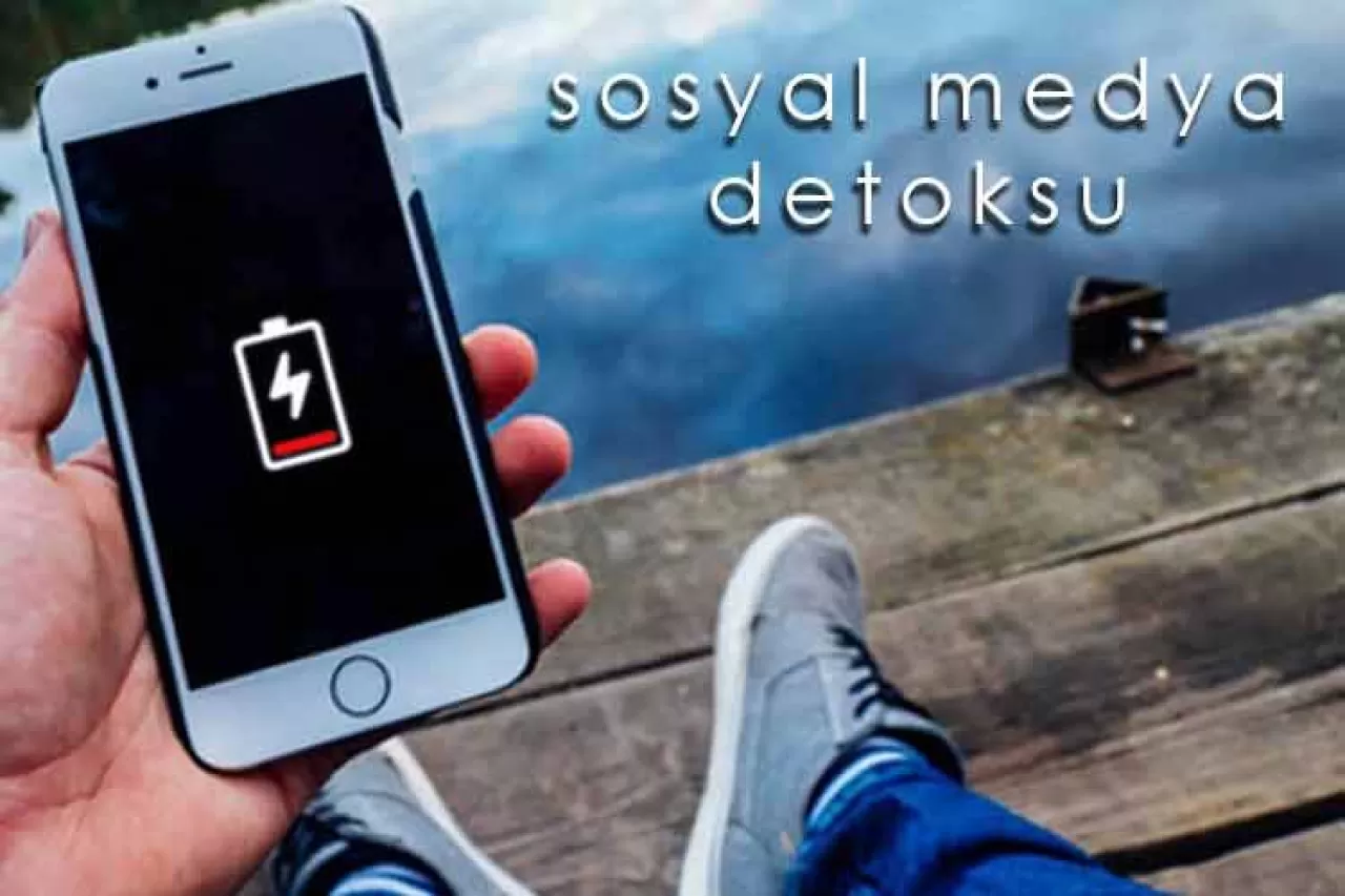 Köyde Wi-Fi Ormanı: Teknoloji ile Doğanın Dengede Buluştuğu Yeni Tatil Konsepti