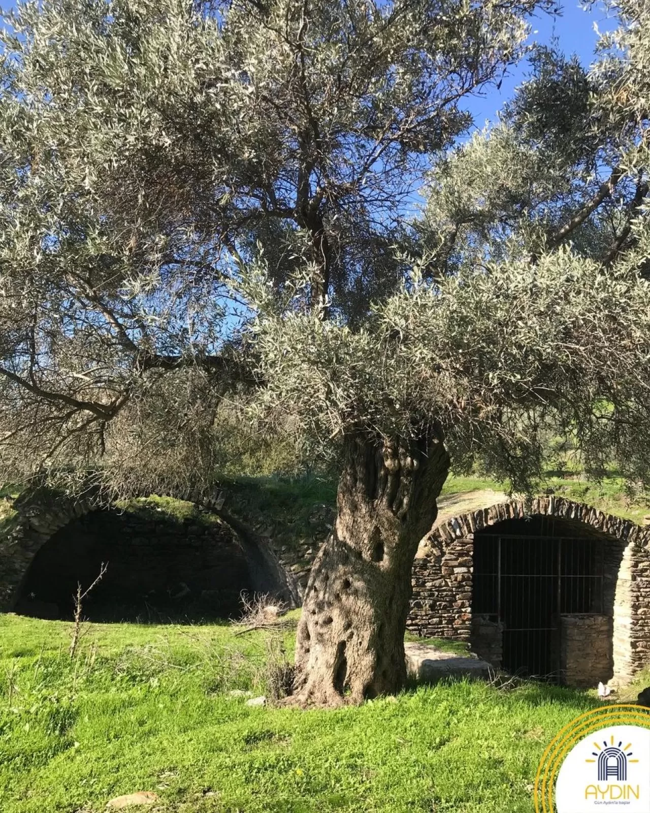 Aydın'da Antik Bir Gizem: Akharaka Tapınağı'nın İzinde