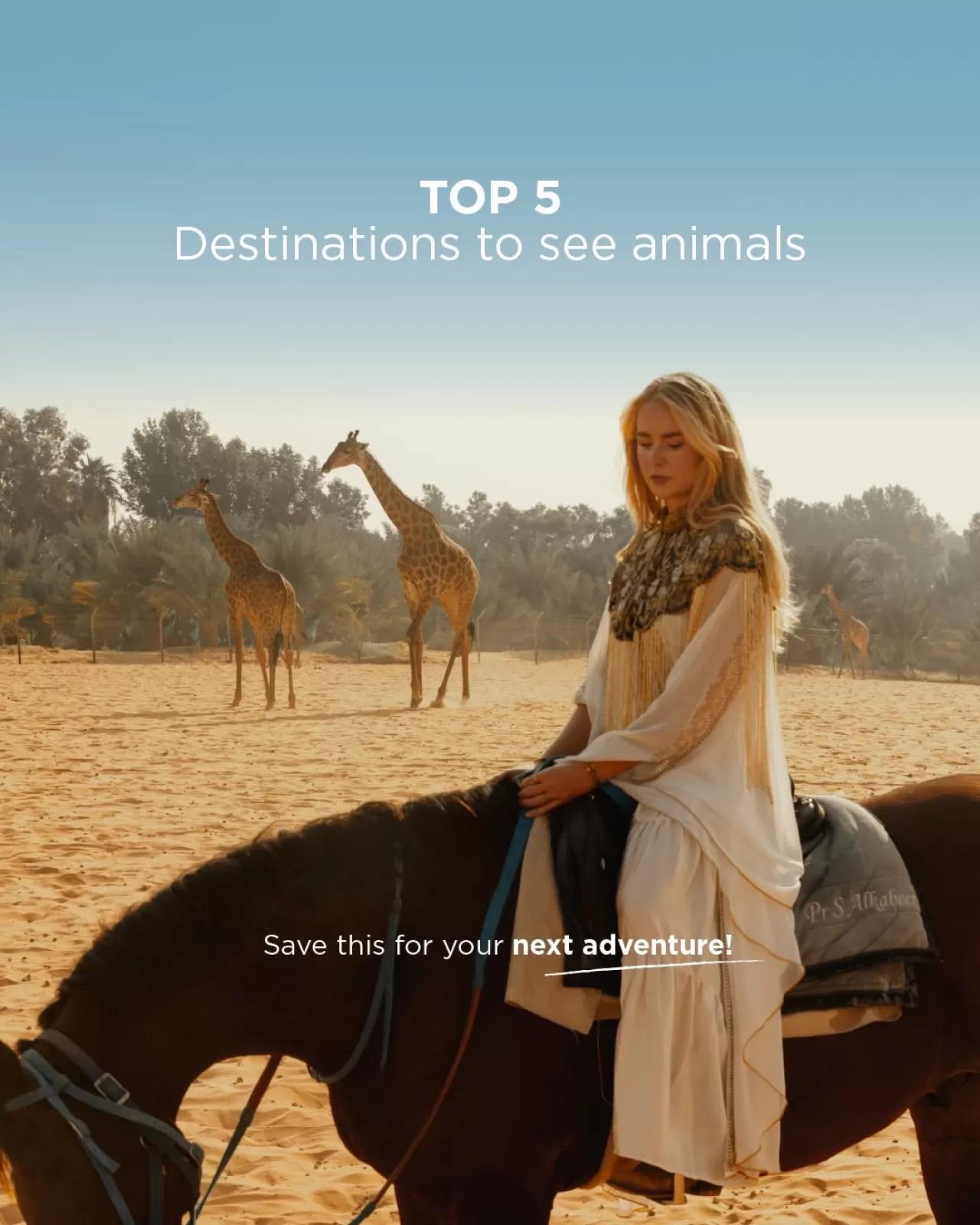 Radisson Blu'dan Yaban Hayatı Kaçamakları: Dünyanın En Güzel 5 Milli Parkında Unutulmaz Hayvan Karşılaşmaları