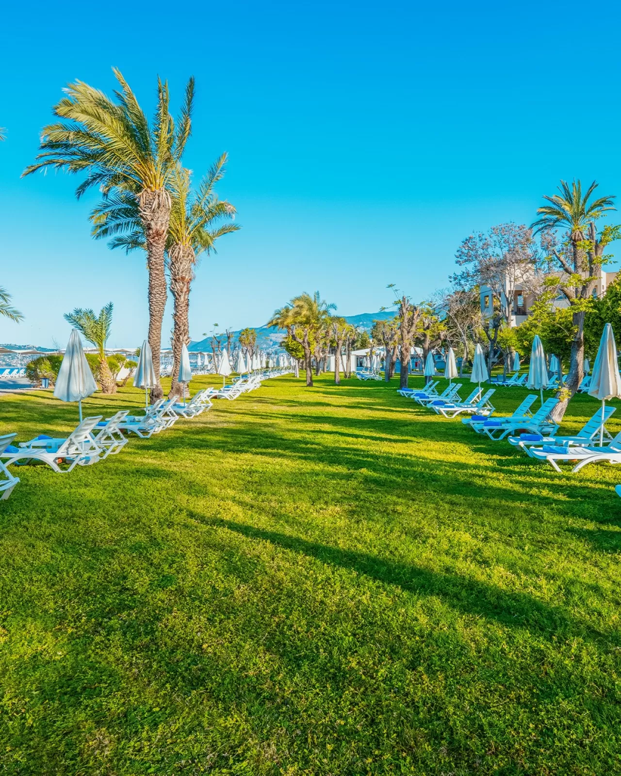 Labranda Alantur Resort: Yeşille Mavinin Buluştuğu Huzur Durağı