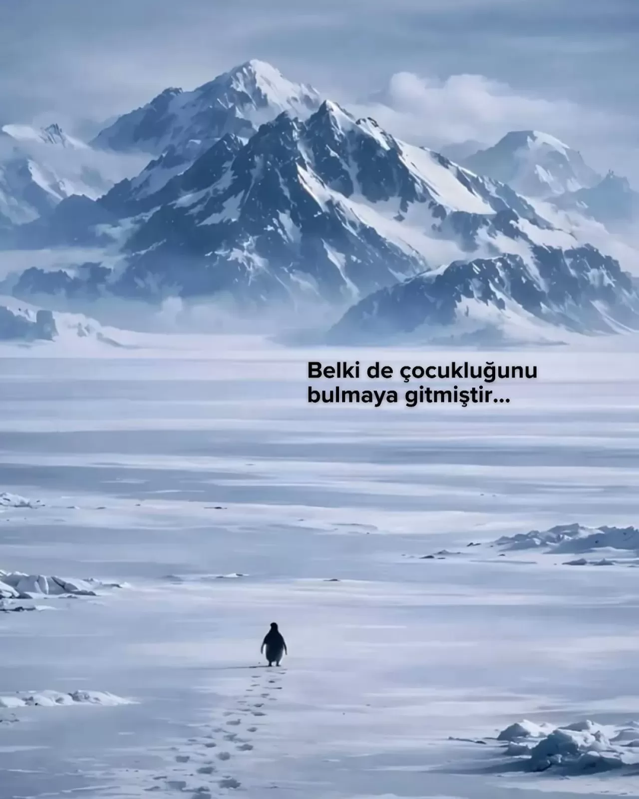 İstanbul Oyozsuncak Müzesi: Çocukluğun İzinde Bir Zaman Yolculuğu