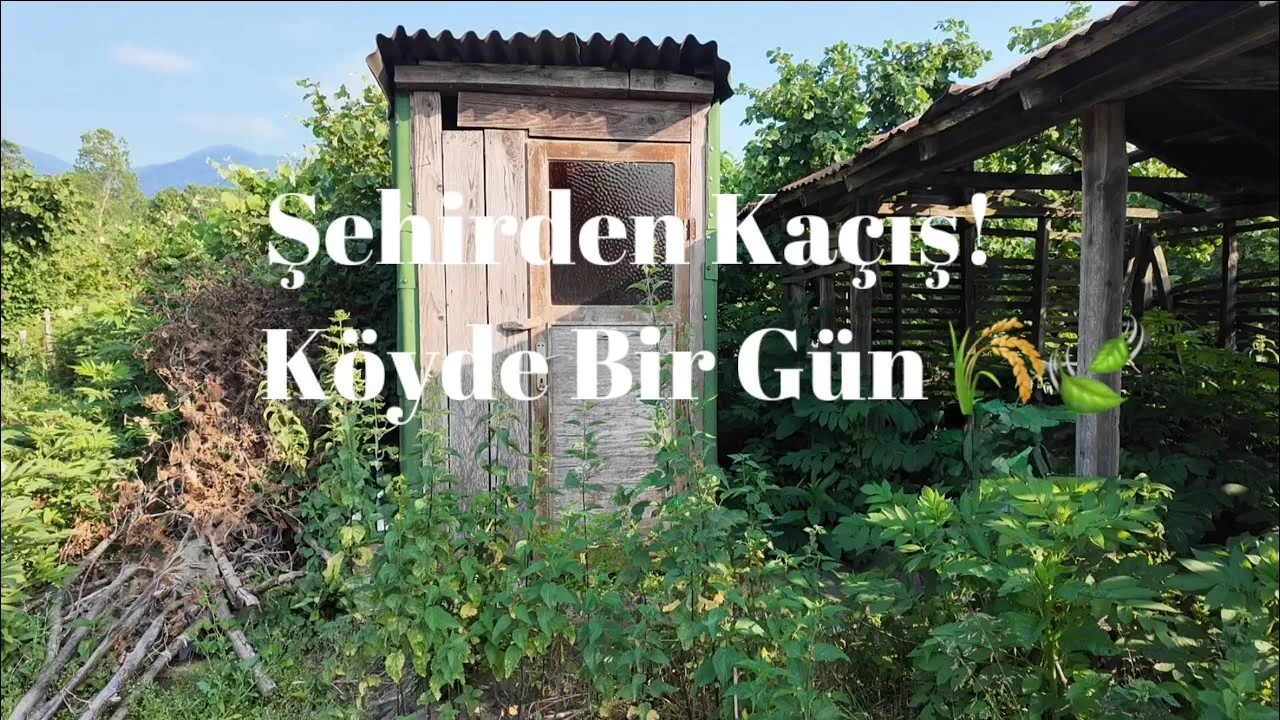Şehrin Gürültüsünden Kaçış: Köyde Ses Diyeti ile İçsel Keşif