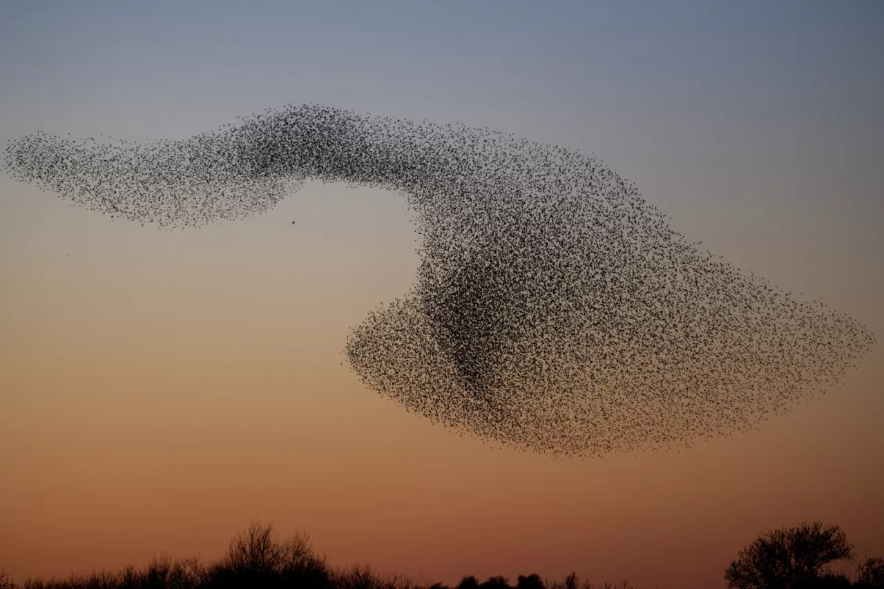 Gökyüzünün Hipnotik Dansı: Kara Güneş Fenomenini Görme Zamanı Geldi